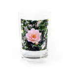 お花の双葉のカメリア Water Glass :front