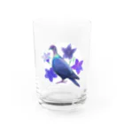 Mt.piyoのアカガシラカラスバト Water Glass :front