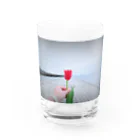 K-sampoのガラスのチューリップ（グラス） Water Glass :front