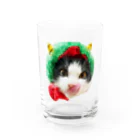 保護猫ベニとハクのベニだっちゃ❗ Water Glass :front