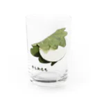 脂身通信Ｚのかしわもち Water Glass :front