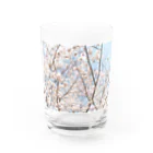 shirohigenoのsaKuraCap Water Glass :front