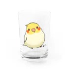 *KAKAPO*の*KAKAPO*のふんわりオカメインコちゃん(るちの) Water Glass :front