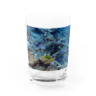 写真_ringo屋の海 Water Glass :front