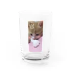 むむ😸🍈(mumu)グッズの茶白猫むむ Water Glass :front