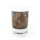 honey bunnyのマーブルチョコ Water Glass :front