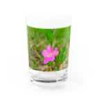 MAGの小さい花 Water Glass :front