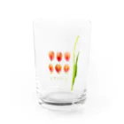 prism cityの花標本 サーモンピンクのチューリップ Water Glass :front