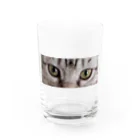 みーのお部屋 のキャットアイ かすみちゃん Water Glass :front