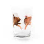 701の尻をなめる猫 Water Glass :front