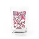 BouquetのSakura Water Glass :front