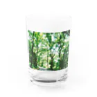 もの大自然 Water Glass :front