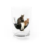 ＭＩＹＡＺＡＫＩの保護にゃんズ Water Glass :front