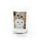 ฅもねฅのらび Water Glass :front