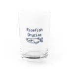 rs1019のドットメダカ Water Glass :front