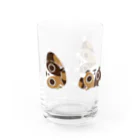 といろ雑貨店のごろごろねこグラス Water Glass :front