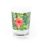 pino子 shopの雨上がりのハイビスカス【風景写真】 Water Glass :front