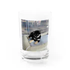 たま子100%のたま子のコップ Water Glass :front