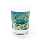 rion02の沖縄　魚T Water Glass :front
