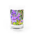 Tane Rhythm ～たねりずむ～のむらさきの花 Water Glass :front