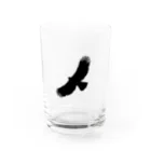 ぼちぼちいきもの屋のクマタカ  Water Glass :front