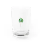 Po_Po_Factoryの育ててるプランターに生えてた草木 Water Glass :front