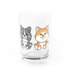 春風工房の２人は仲良し秋田犬 Water Glass :front