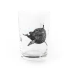 Ayumi HIdakaのイルカと貝殻　海を感じる グラス前面
