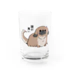 ペキニーズとかわんことか。の我が道を行くペキニーズ（フォーン） Water Glass :front