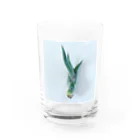 a.c.a.botanicalのカプトメデューサエ Water Glass :front