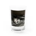 Link∞artのつかれたネコ Water Glass :front