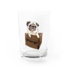 犬グッズの店しえるぶるーの箱入りパグ Water Glass :front