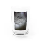 SUMOMOのハムハムハム太郎 Water Glass :front