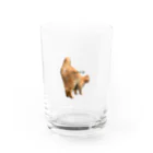 kawaiiのOKETSU Water Glass :front