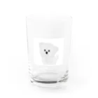 guriguriのまるちゃん Water Glass :front