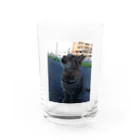 ながしっぽ from.さくらねこの家のとらちゃん　type.Ｂ Water Glass :front