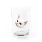 ゆれる銀の白猫の恋ちゃん Water Glass :front