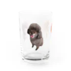 イケタニ カナタロウのプードルず Water Glass :front