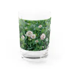 yuaomaのシロツメグサとクローバー  Water Glass :front