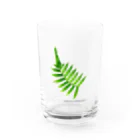 アルカディア地球本店のFern Water Glass :front