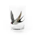 Coshi-Mild-Wildのツバメ Water Glass :front