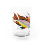 Coshi-Mild-Wildのアピストグラマ・カカトゥオイデス‼️ Water Glass :front