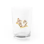 1℃⑥8〜わんど☆ろくまる屋の金鯉鯉 Water Glass :front