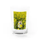 ハナちゃんの！の菜の花ハナちゃん Water Glass :front