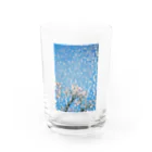 niwakungfuのsakura Water Glass :front