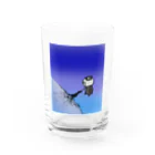 KAPPAYAのダークカッパくん Water Glass :front