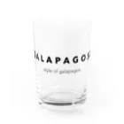 California StockingのGALAPAGOSS グラス前面