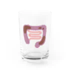 8anna storeの人体のなぞ。便がたまった大腸。 Water Glass :front