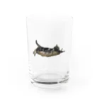 まだの魚 Water Glass :front