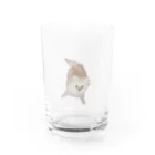 nonoの紐ｶﾐｶﾐののたん（白ポメラニアン） Water Glass :front